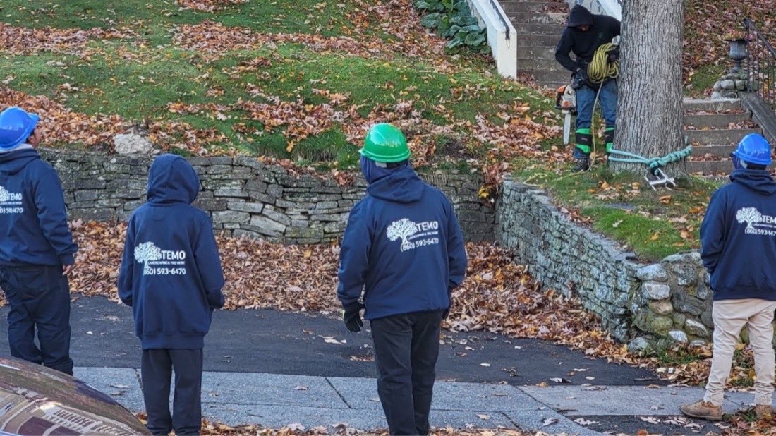 Three Temo crew members in branded jackets and hard hats working along a stone wall.