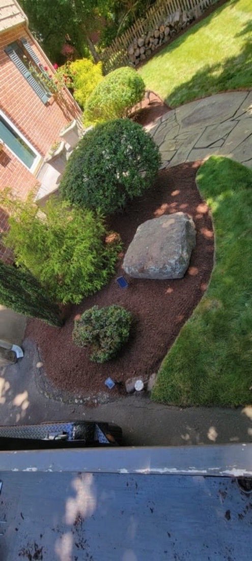 A finished garden bed with shaped shrubs, mulch and a flagstone path.